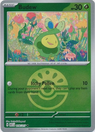 Budew 016/217 (ME: Ascended Heroes)  - Friend Ball Holofoil