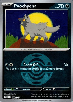 Poochyena 128/217 (ME: Ascended Heroes)  - Dusk Ball Holofoil