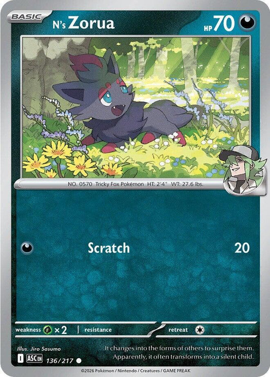 N's Zorua 136/217 (ME: Ascended Heroes) 
