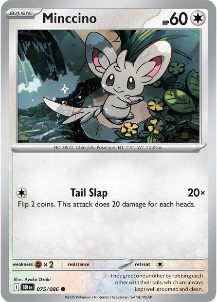 Minccino 075/086 (SV: Black Bolt) 