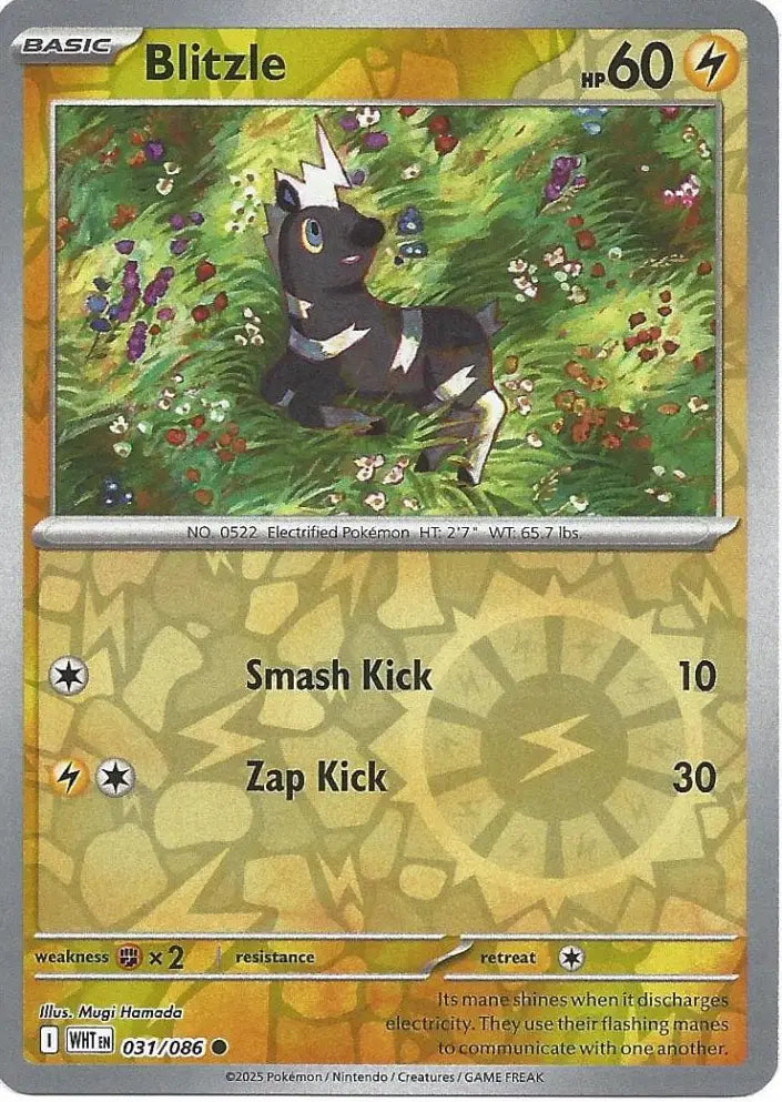 Blitzle 031/086 (SV: White Flare)  - Reverse Holofoil
