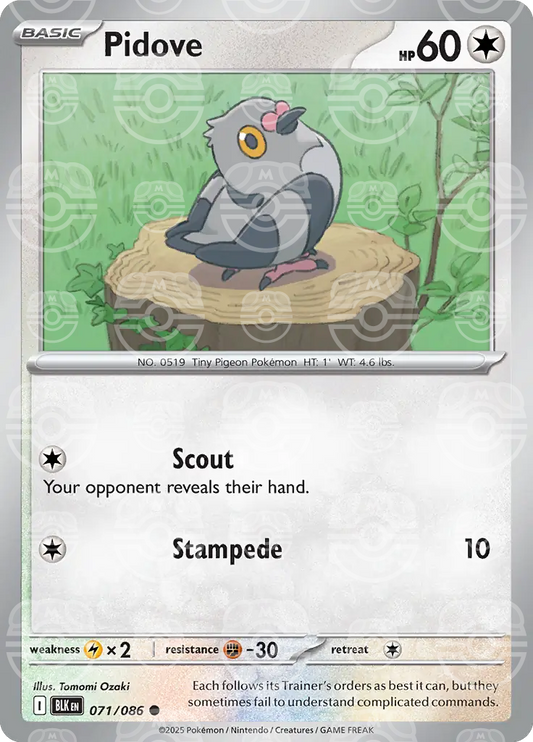Pidove 071/086 (SV: Black Bolt)  - Master Ball Holofoil