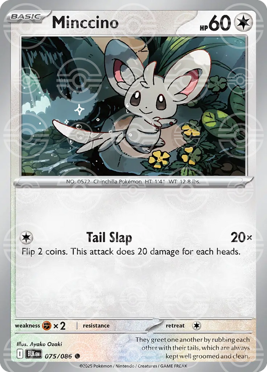 Minccino 075/086 (SV: Black Bolt)  - Poke Ball Holofoil