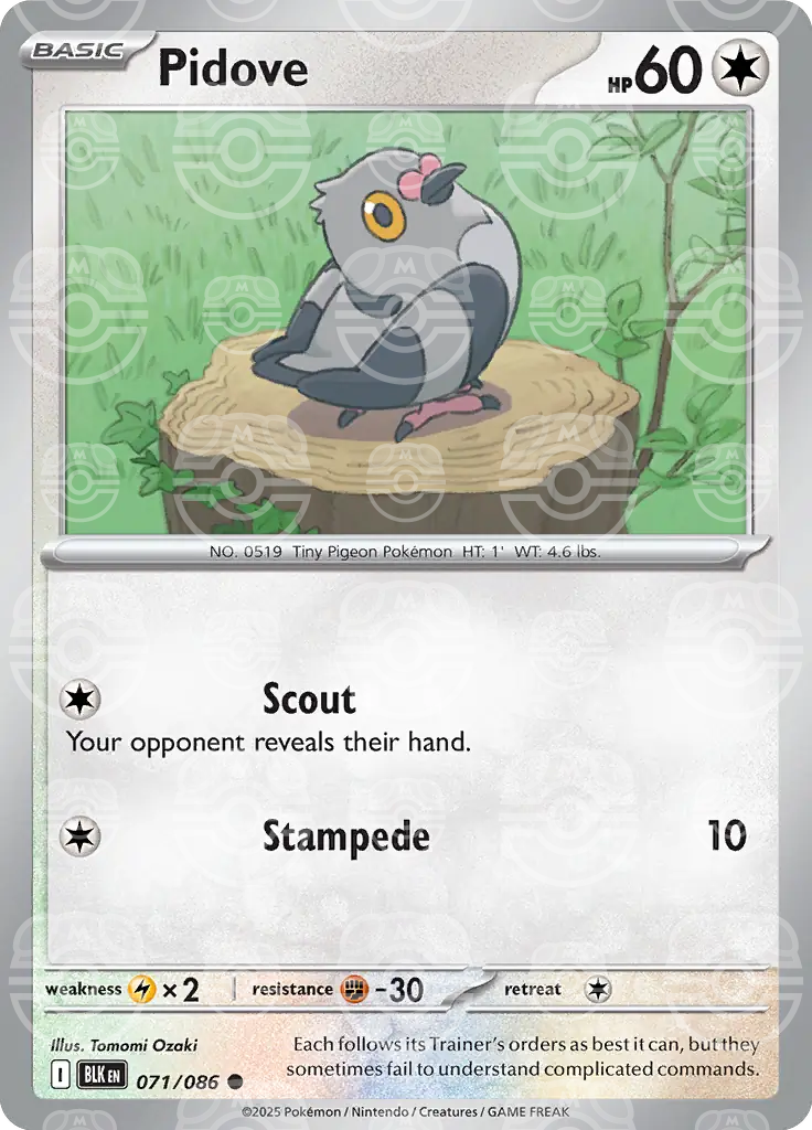 Pidove 071/086 (SV: Black Bolt)  - Master Ball Holofoil