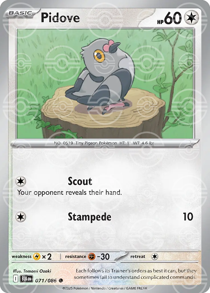 Pidove 071/086 (SV: Black Bolt)  - Poke Ball Holofoil
