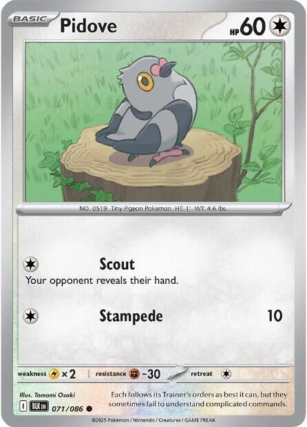 Pidove 071/086 (SV: Black Bolt) 