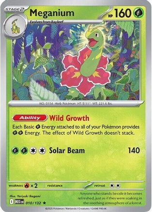 Meganium 010  - Holofoil ME01 Mega Evolution - Rare